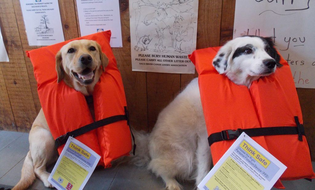 River Canoeing, Kayaking Safety Tips Saco River Canoe, Kayak Rentals